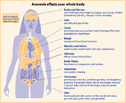 anorexia affects your whole body
