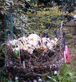 Homemade garden Fertilizer