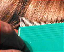 Nit Comb